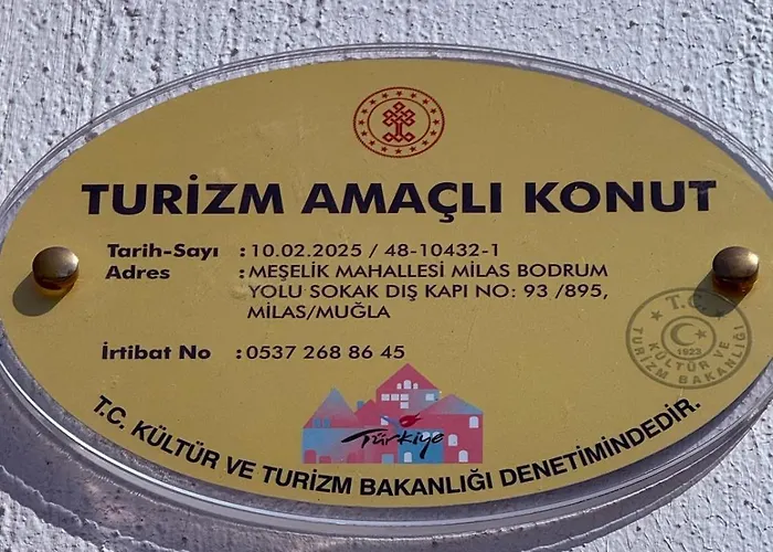 With A Full Private Pool Milas